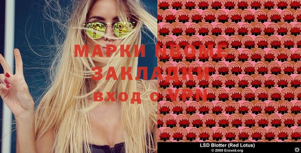 ешки Арсеньев