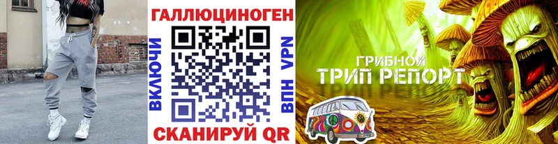 Псилоцибиновые грибы Psilocybe  закладка  Сельцо 